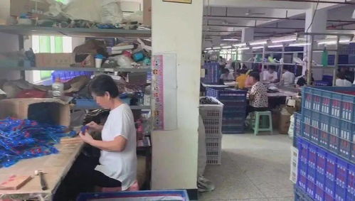 涉案超千萬！徐匯警方偵破玩具著作權侵權大案，假冒禮品花卉流入市場